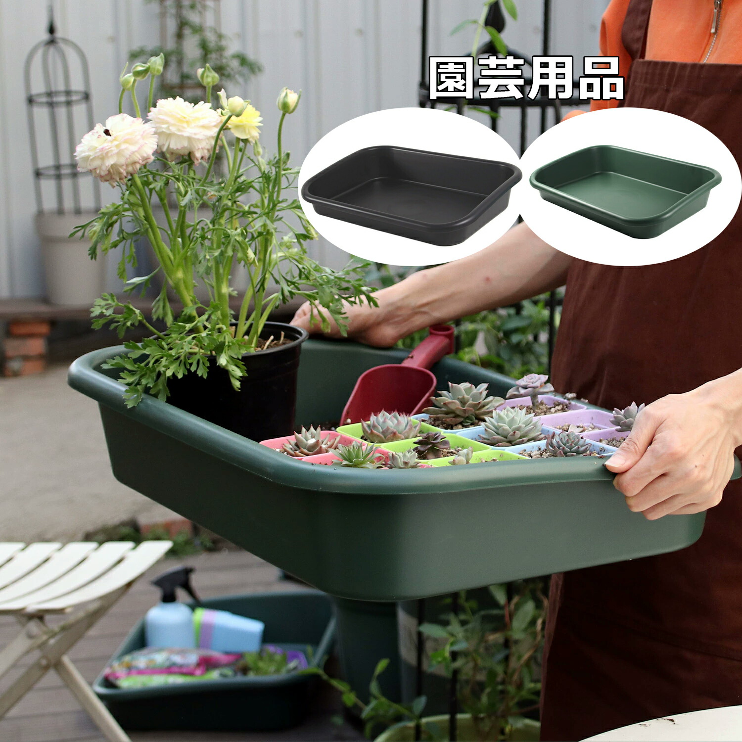 楽天市場】【無料送料】1個 大容量ガーデンシードオーガナイザー - 多