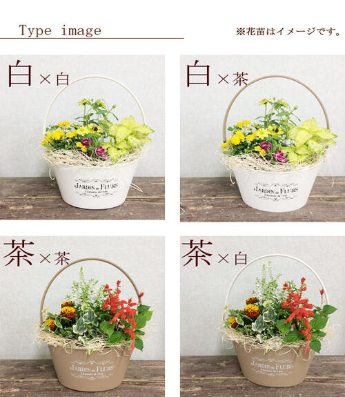 楽天市場 セット 寄せ植え季節の花の寄せ植え バスケットプランター 28型 花苗4ポット プラスチック鉢 投げ込み 底面給水 アクアセル ひのき木綿 プレゼント ギフト 花みどりマーケット 楽天市場店