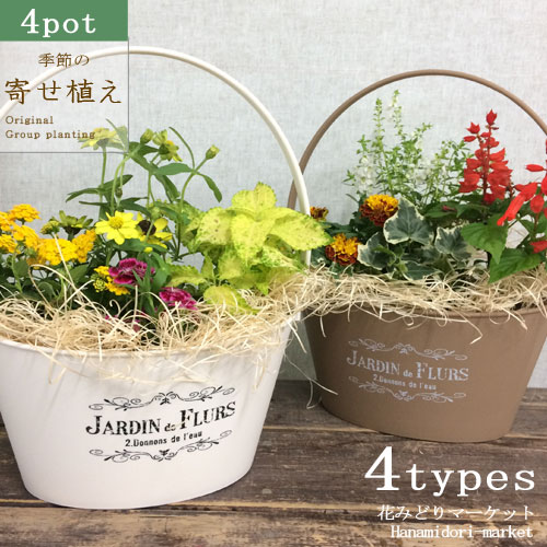セット 寄せ植え季節の花の寄せ植え バスケットプランター 28型 花苗4ポット プラスチック鉢 投げ込み 底面給水 アクアセル ひのき木綿 プレゼント ギフト Concertideas Com