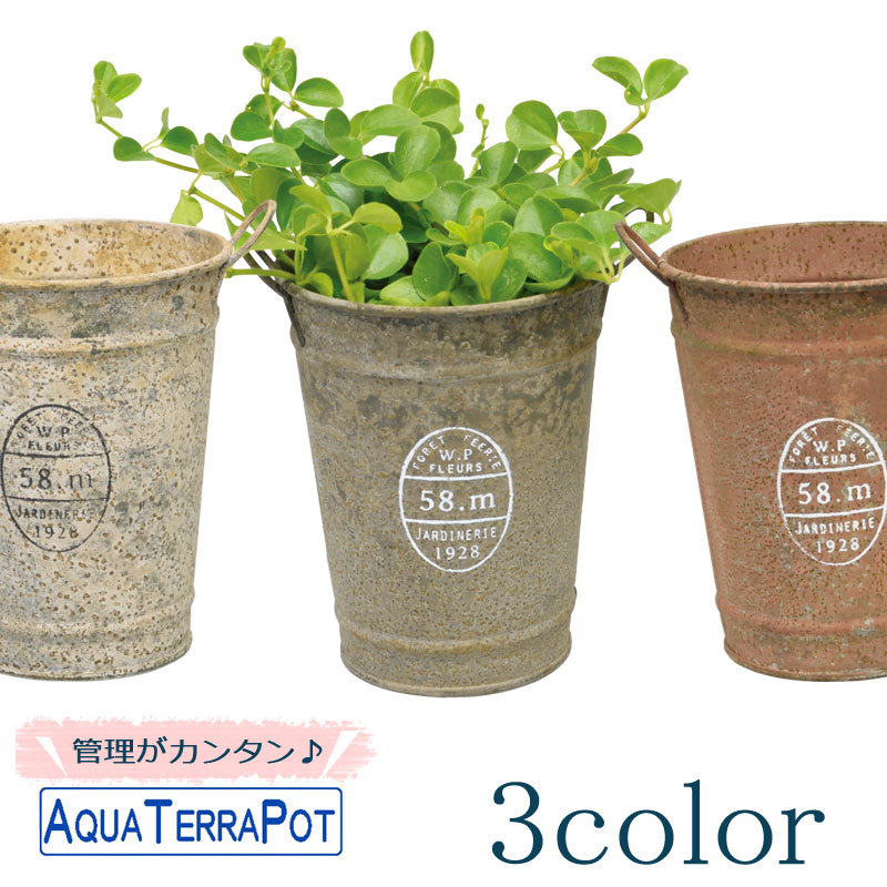 アクアテラポット ブロカントティン10 5全3色 観葉植物全 種 シュガーバイン アイビー ヘデラ ペペロミア ワイヤープランツ Educaps Com Br