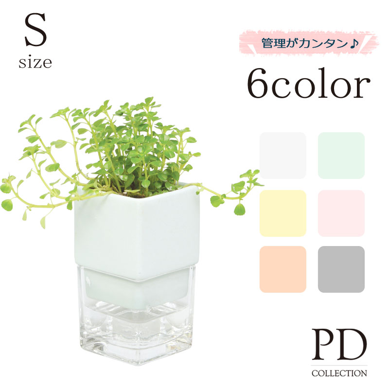 楽天市場 調湿ポット入り 観葉植物 Sサイズ Id 906 器 全6色 植物 全10種インテリアグリーン 花みどりマーケット 楽天市場店