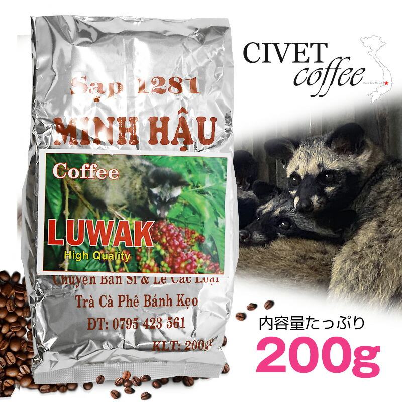 ③【ネコ生豆原価16000円】1kg シベットキャット　インドのコピルワック 楽天市場】【ポイント10倍】 ジャコウネココーヒー 100g