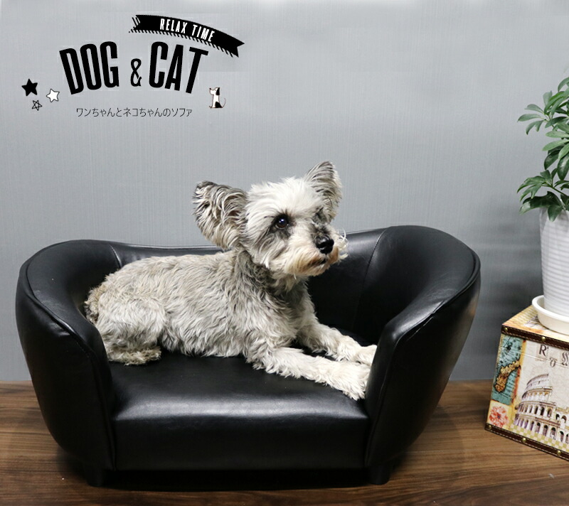 Sale ペット用 小型ソファー 犬用品 イス 送料無料 モダン 猫 ソファー 合成皮革 モダン オシャレ インテリア 犬 動物お洒落 小型 ソファー ペット ペットソファー Sf 66 ハナイズムジャパンオシャレな合皮ペット用ソファー