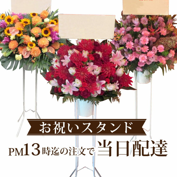 祝賀会用 照明ランプ花 1段 昼過ぎ１３時までのご申し付けるで、即日からお届けが能力のあるです！ 即日送りとどける・当日送りとどける能力のある/開業 祝賀会/さくら色/オレンジ色/赤/商行為 即日/差し上げ物/花/照明ランプ/段【全国網状組織 イーフローラでお届け】本日花