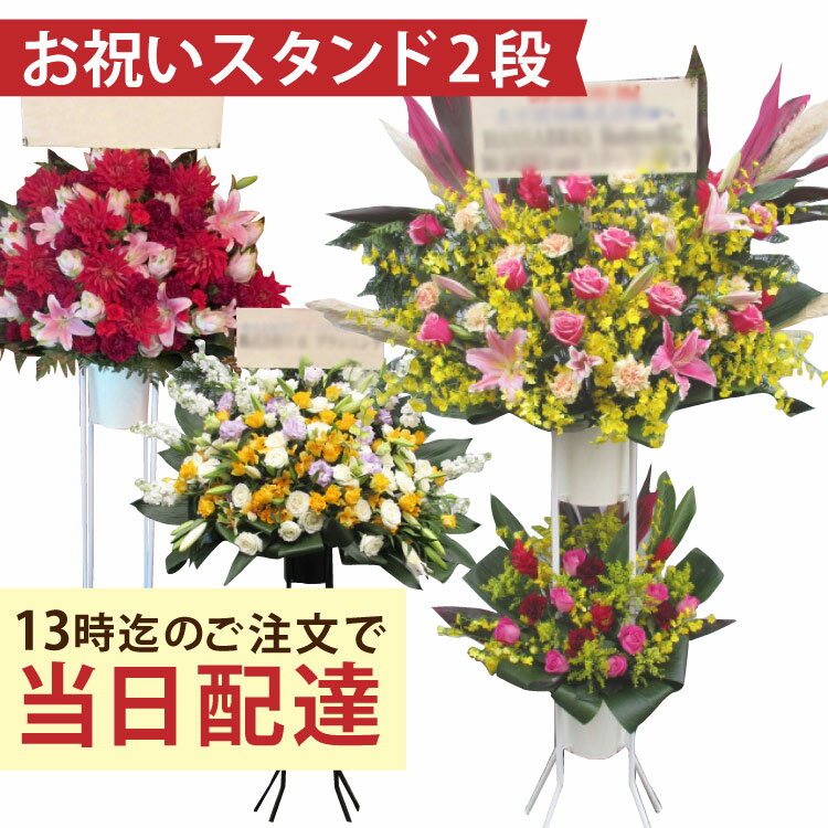 開店 開業 開院 祝い事用 照明ランプ花 2段 昼過ぎ13時までのご申しつけるで 即日からお届けが能力のあるです【全国網状組織 イーフローラでお届け】即日送りとどける 当日送りとどける能力のある/開業 祝い事/サクラ色 赤/商行為 即日 花 照明ランプ 開店祝い事 本日花