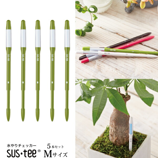 885円 購入 885円 選ぶなら Mサイズ 5本セット グリーン サスティー 植物用水分計 資材 水やりのタイミングが分かる植物用水分計 3号鉢〜6号鉢にはMサイズをおすすめ 水分計 sustee ガーデニング 観葉植物 植物用 FKKS 京都資材