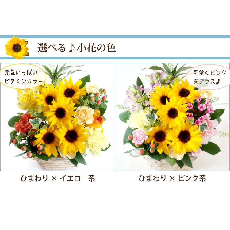 あす楽 ひまわりアレンジ ピック付き 季節のフラワーギフト 生花 誕生日 お祝い用季節の花 ひまわり 花 ギフト プレゼントバルーン 風船 アレンジ 花束 ブーケ 即日発送 メッセージピック付き 夏 記念日 お祝い お礼 お見舞い 父の日 Fkaa Educaps Com Br