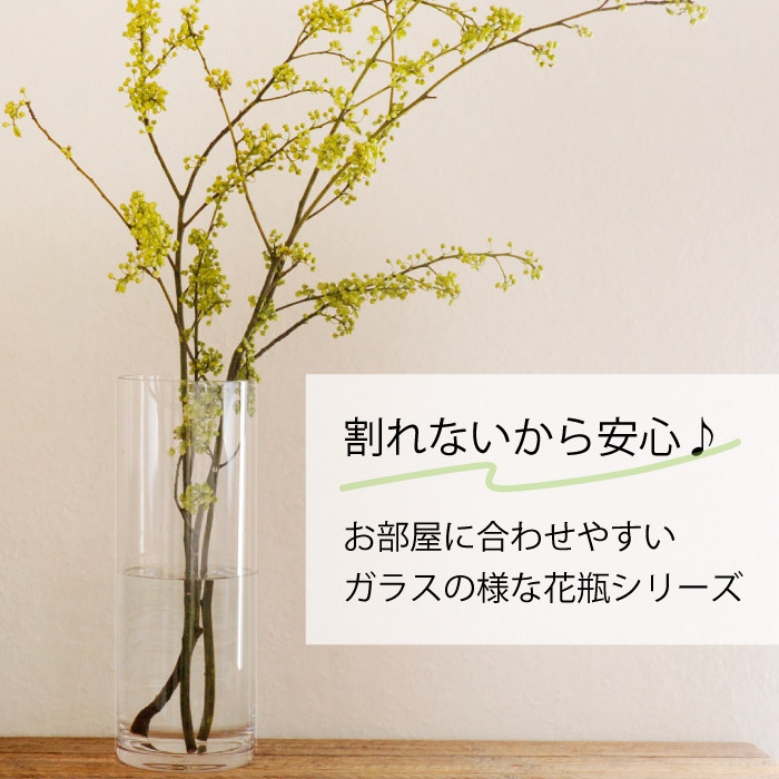 割れない花びんpv球形 サイズ F60cm H45cm 口径f32cm クリアー 命日 3 5kg 全国一律送料無料 沖縄県 離島はお届け不可 ドウダンツツジ プレゼント 花瓶 クリアー フラワーベース 大きな シンプル 花器 透明 大きい 大型 おしゃれ 送料無料 ホワイエ 資材 割れない花びんpv球形 サイズ F60cm H45cm 口径f32cm クリアー 命日 3 5kg 全国一律送料無料 沖縄県 離島はお届け不可 ドウダンツツジ プレゼント 花瓶 クリアー フラワーベース 大きな シンプル 花器 透明 大きい 大型 おしゃれ 送料無料 ホワイエ 資材