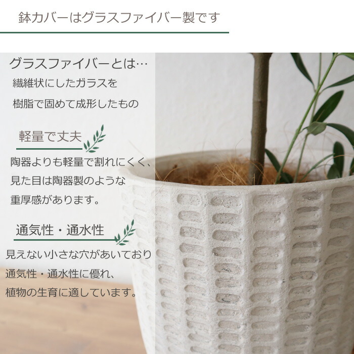 上之郷 巾商品名 ハーフバスタオル2 Kg 3000 お中元 実用核 おすすめ 衆望 度合い スーベニア 内寿 産する内祝 嫁ぐ内祝 出産祝 結婚祝 全快祝 お礼 お中元 お歳暮 お年賀 竹蓖がえし 香典返し 恍ける代用