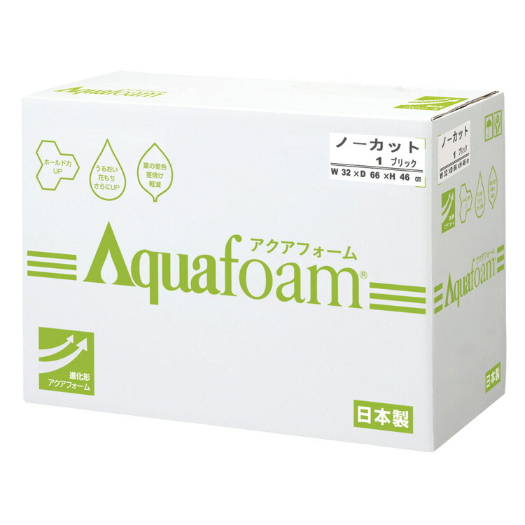 【10-10-0】 アクアフォーム ノーカット貨物輸送無料 花原材料 松村芸術 FKTS