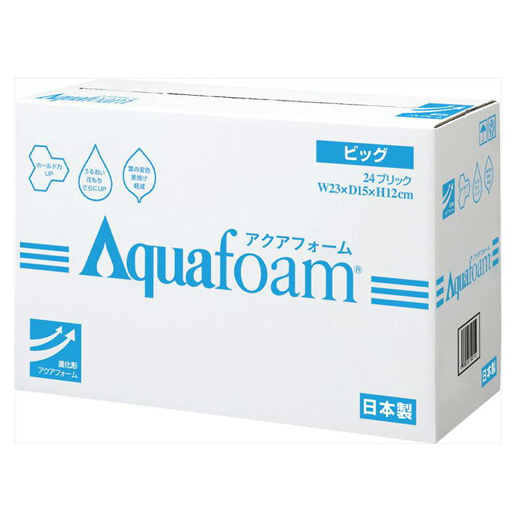 【10-41-0】 アクアフォーム ビッグ 24個入り口・入口貨物輸送無料 花原材料 松村芸術 FKTS