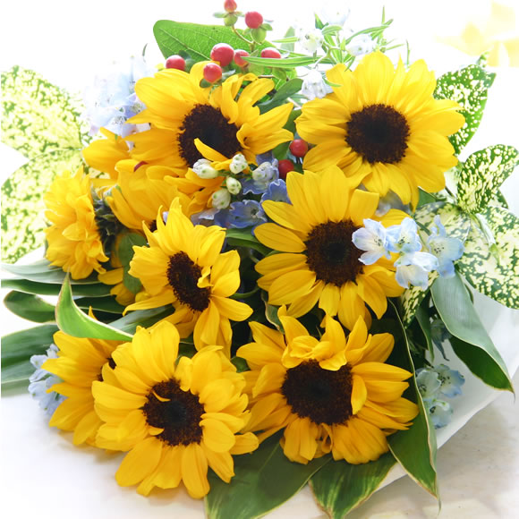 楽天市場】元気が出る夏の花のフラワーギフト！ひまわり