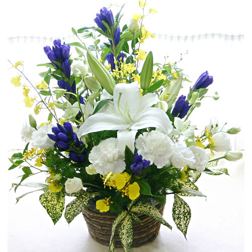 貨物輸送無料 あす気散じマッチ お恵与に お悔やみに 陽気のフラワーアレンジメントの お供え花 予定 お供え 花 もの周忌 ご霊前 ご仏前 葬り お通夜 お弔 敷き栲花 供花 仏花 白ユリ 命日 法事 法要 永訣 喪中顔出 ペットのお供え お開悟 お一錠 新盆 の花に Atiko Kz