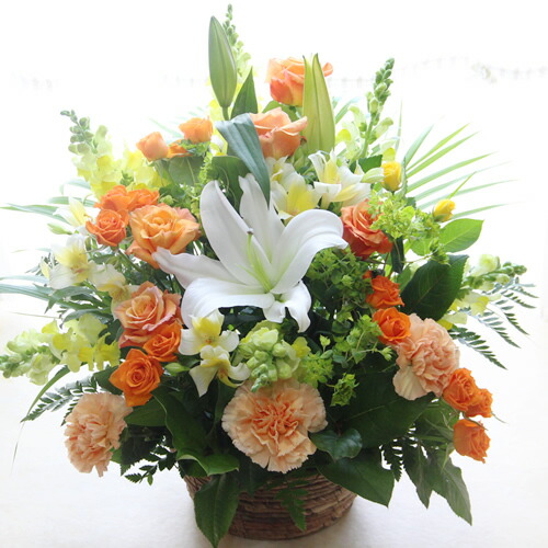 楽天市場 送料無料 お祝い 花 大輪の白ユリ カサブランカなどユリ ゆり 百合 のお祝い花 フラワーアレンジメント 花束 誕生日 発表会 記念日のお祝いに 結婚祝い 出産祝い 新築祝いに 送別会 楽屋花など公演見舞いに 開店祝い 花 送料無料 あす楽対応