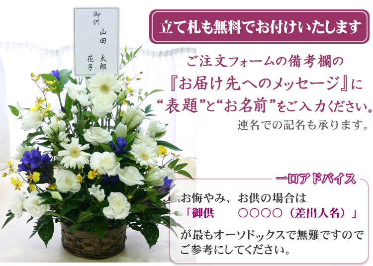 お悔やみに 胡蝶蘭 コチョウラン の 花 観葉植物 仏花 お供え お葬式 お供え花 仏花 喪中 法要 法事 あす楽対応 花 喪中見舞い ご霊前 ご仏前 お葬式 お彼岸の花に フラワーアレンジメントの贈り物 花の専門店 枕花 アレンジメント 通夜 一周忌 命日 送料無料