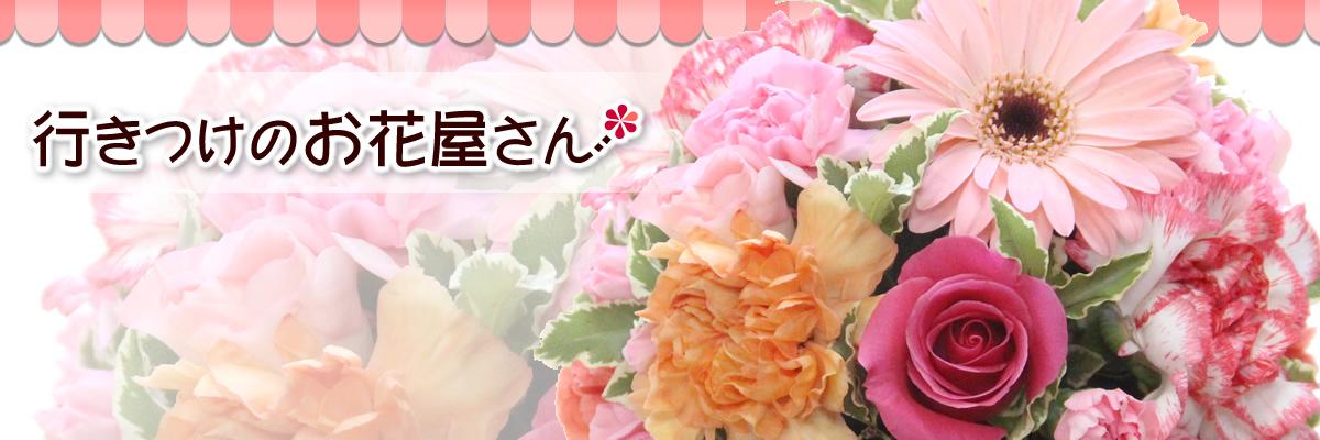 �֤�����Ź �Ԥ��Ĥ��Τ��ֲ����󡧥Х��«���������֤ʤɥե����եȤ�����