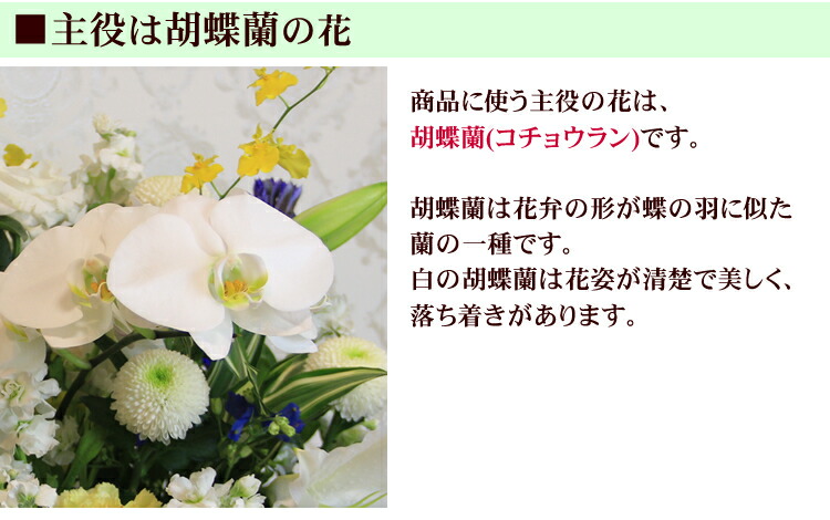 送料無料 あす楽対応 お悔やみに 胡蝶蘭 コチョウラン の お供え花 アレンジメント お供え 花 一周忌 ご霊前 ご仏前 枕花 供花 仏花 葬儀 通夜 お葬式 命日 法事 法要 喪中 喪中見舞い ペットのお供え お彼岸の花に フラワーアレンジメントの贈り物 Kermobile Com