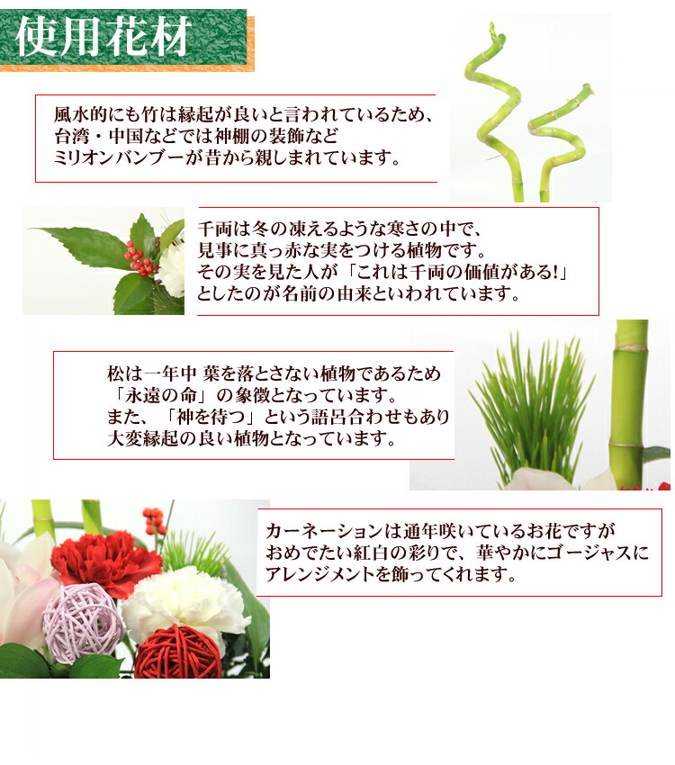 送料無料 お正月飾り 生花 フラワーアレンジメント お正月限定フラワーアレンジメント 万年竹 Amedf Com Br