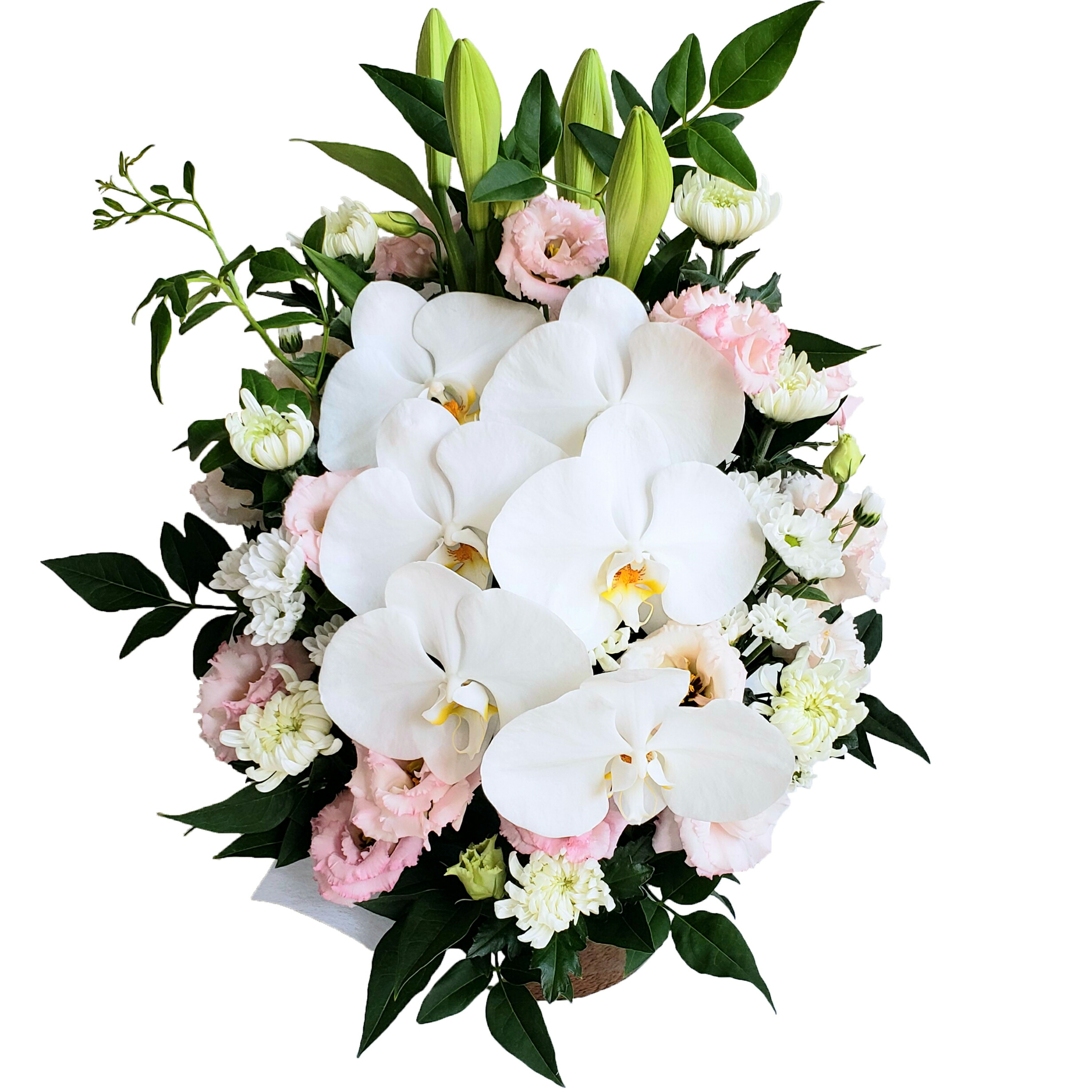 【御供　胡蝶蘭入り 白&times;ピンク】　花金高岡本店オリジナル　生花アレンジメント　御供　胡蝶蘭入り 白&times;ピンク　お悔み・ご法要・命日・お盆・お彼岸 フラワーアレンジメント 幅：約35cm&times;高さ：約55cm｜花金・高岡本店　店