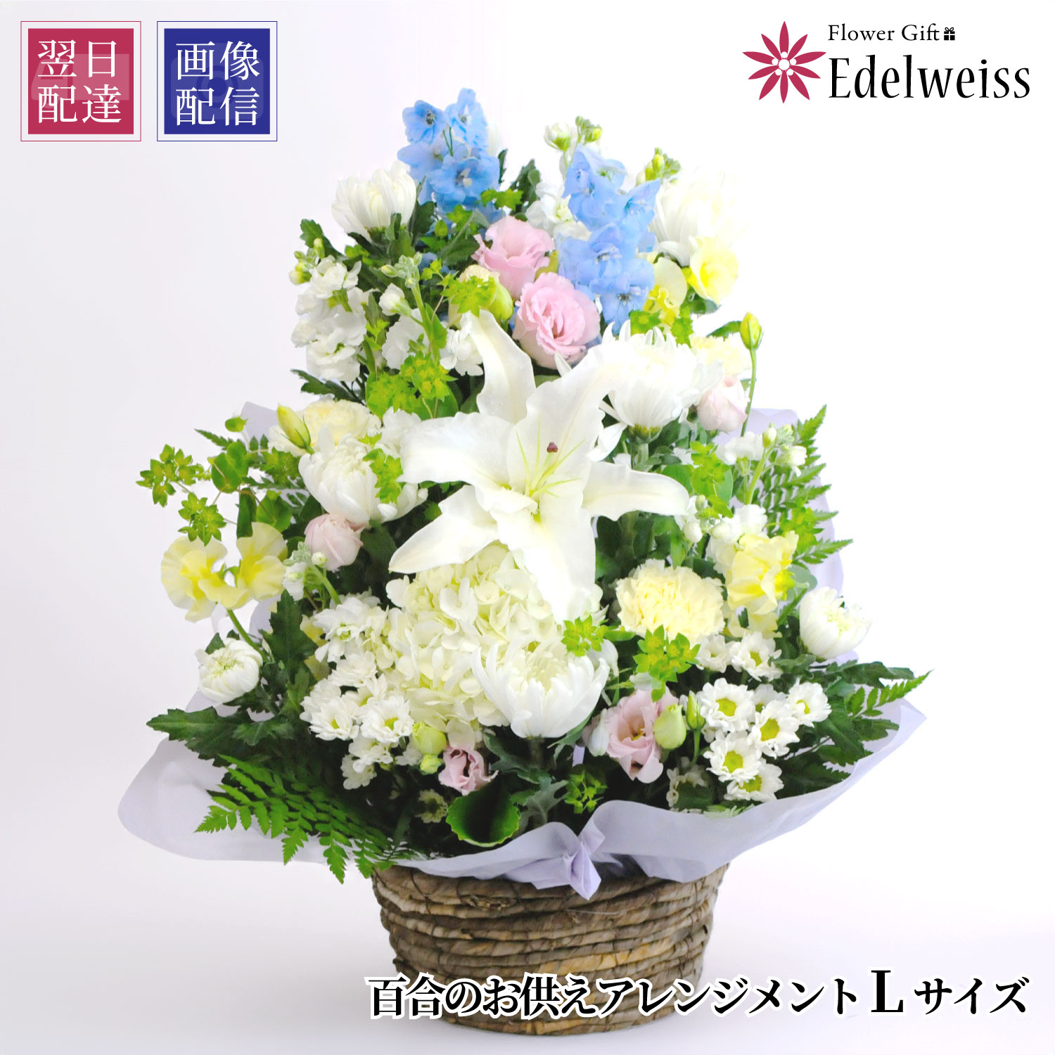 【最短 またの日お届け 12時まで】 お供え 花 供花 さ百合 お供え 花 申し合わせ お自責の念 弔慰顔出し お献金 枕花 初七日 命日 四十九日 一周忌 三回忌 ついて行く 供養 法事 法要 弔慰 愛玩動物 花 仏花 生け花 エーデルワイス お悔やみの花 百合のお供え花 申し合わせ L