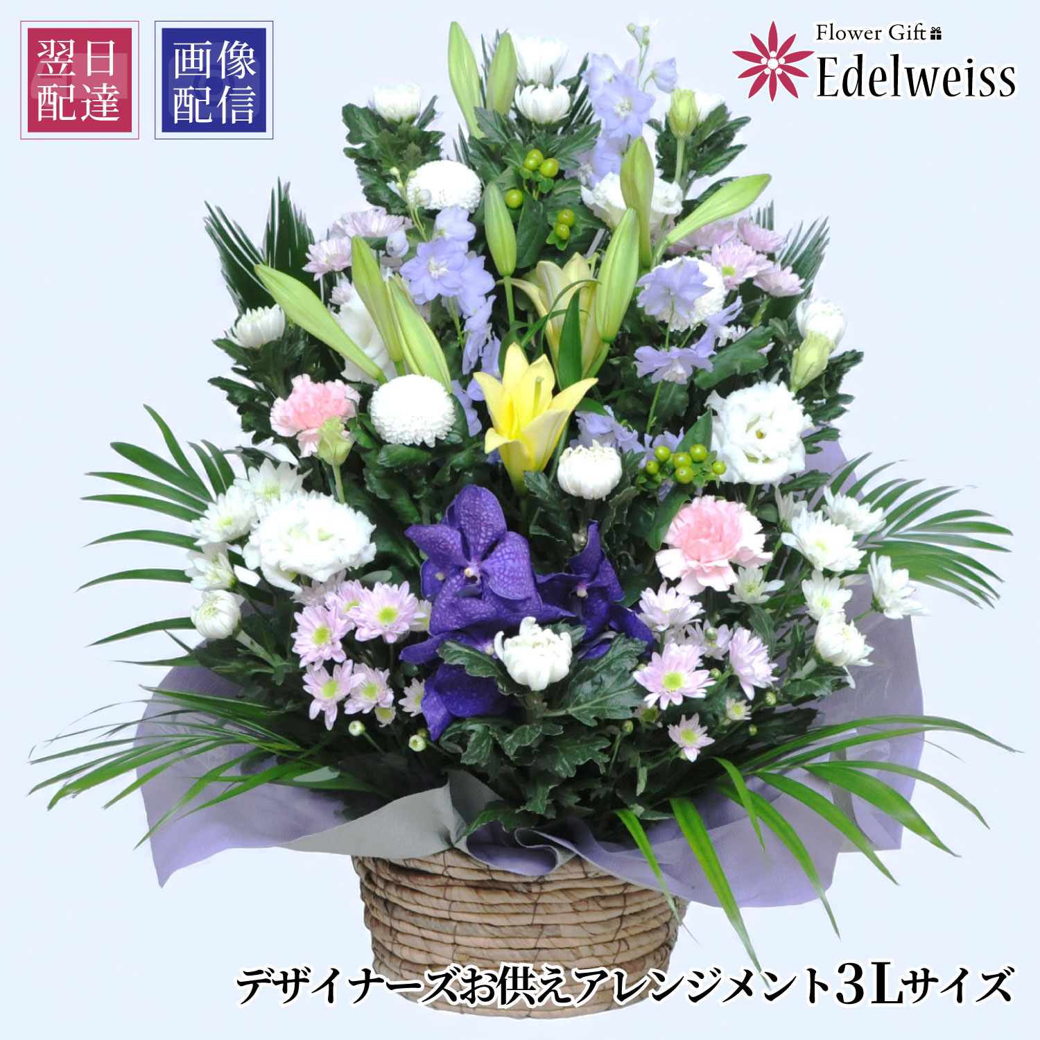 【最短 またの日お届け 12時まで】 お供え 花 贈る お供え 花 申し合わせ お献金 枕花 初七日 命日 四十九日 一周忌 三回忌 付いて行く 供養 法事 法要 お覚悟 忌中見まい  愛玩動物 仏花 活け花 エーデルワイス お悔やみの花 デザイナーズ お供え花 申し合わせ 3L大きさ