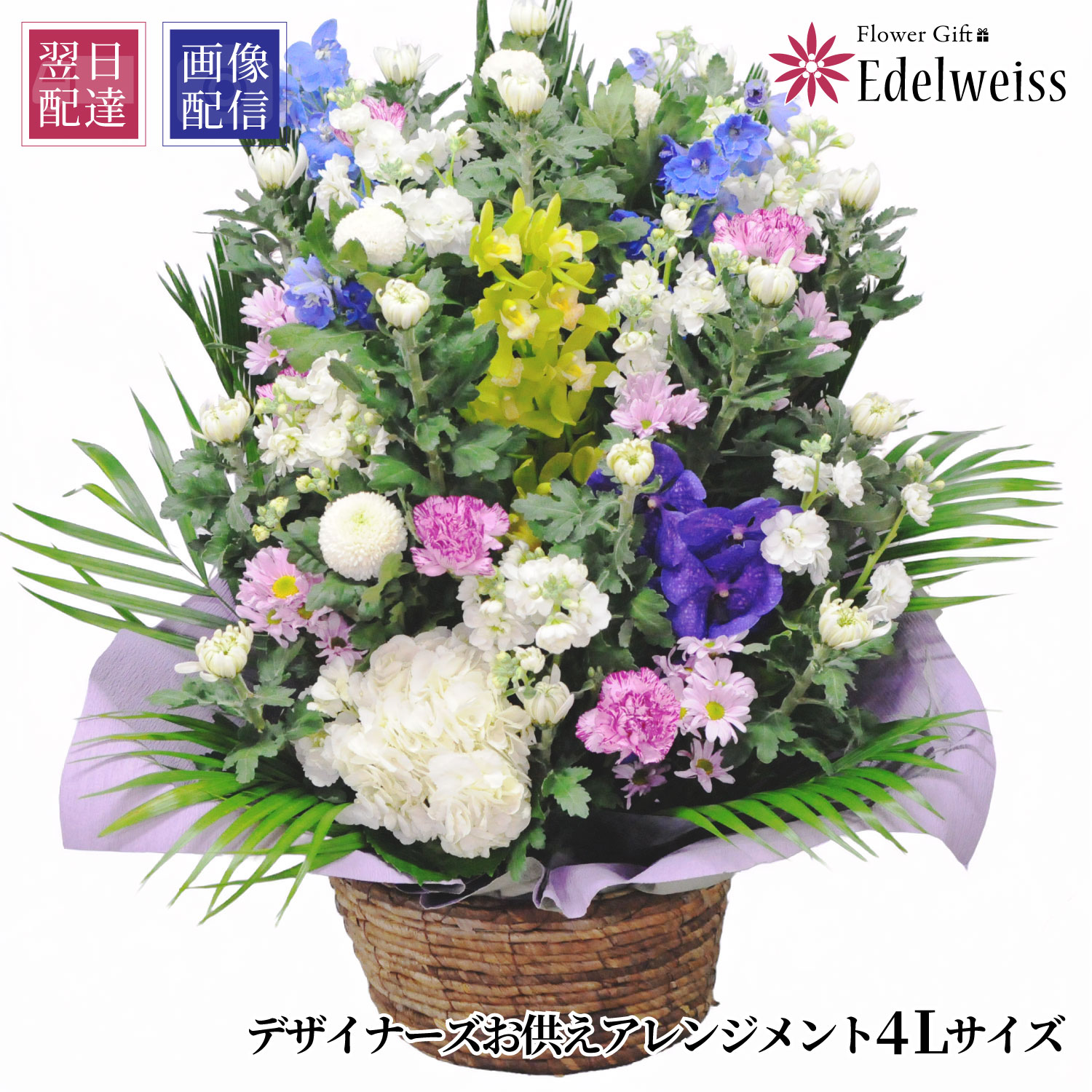 【最短 またの日お届け 12時まで】  お供え 花 贈る 供花 申し合わせ お自責の念 花 お献金   枕花 初七日 命日 四十九日 一周忌 三回忌 付いて行く 供養 法事 法要  忌中 愛玩動物 仏花 活け花 エーデルワイス お悔やみの花 デザイナーズ お供え花 申し合わせ 4L大きさ