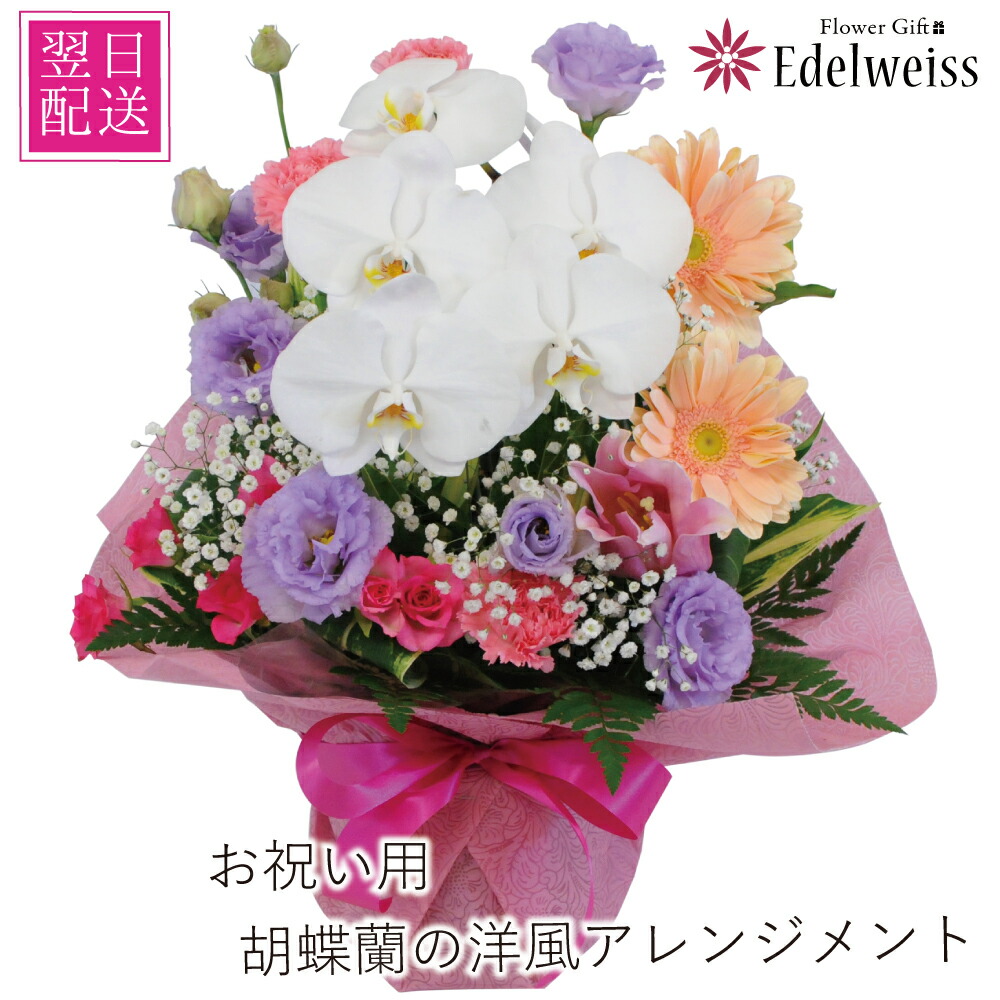 花 プレゼント 誕生日 花 転勤花 退職花 昇進花 昇格花 栄転花 就任祝い花 お祝い フラワー ギフト 花宅配 プレゼント 開店祝い 開業祝い 移転祝い 送別会 退職祝い 明日 急ぎ 明日着 配送 配達 届け 宅配 送料無料 エーデルワイス 胡蝶蘭の洋風アレンジメント｜エーデルワイス／花宅配花屋ギフト