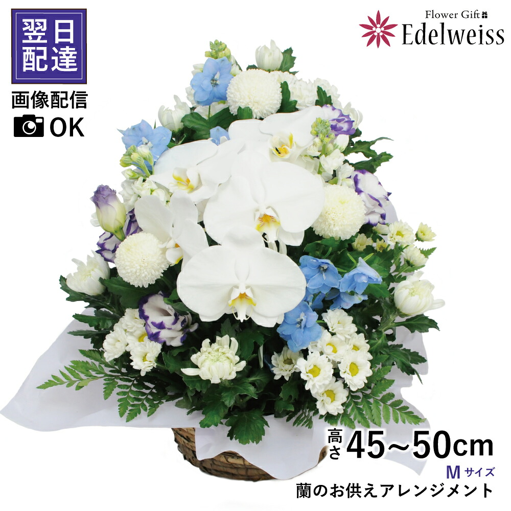 【最短 またの日お届け 12時まで】 お供え 花 供花 活け花 御花申し合わせ  お悔やみの花 夢見鳥蘭 晴れ晴れしい 雅びやか 命日 四十九日 一周忌 三回忌 一廻り法要 法事 法要 御霊前 忌中見まい 供養  蘭のお供え申し合わせ M大きさ