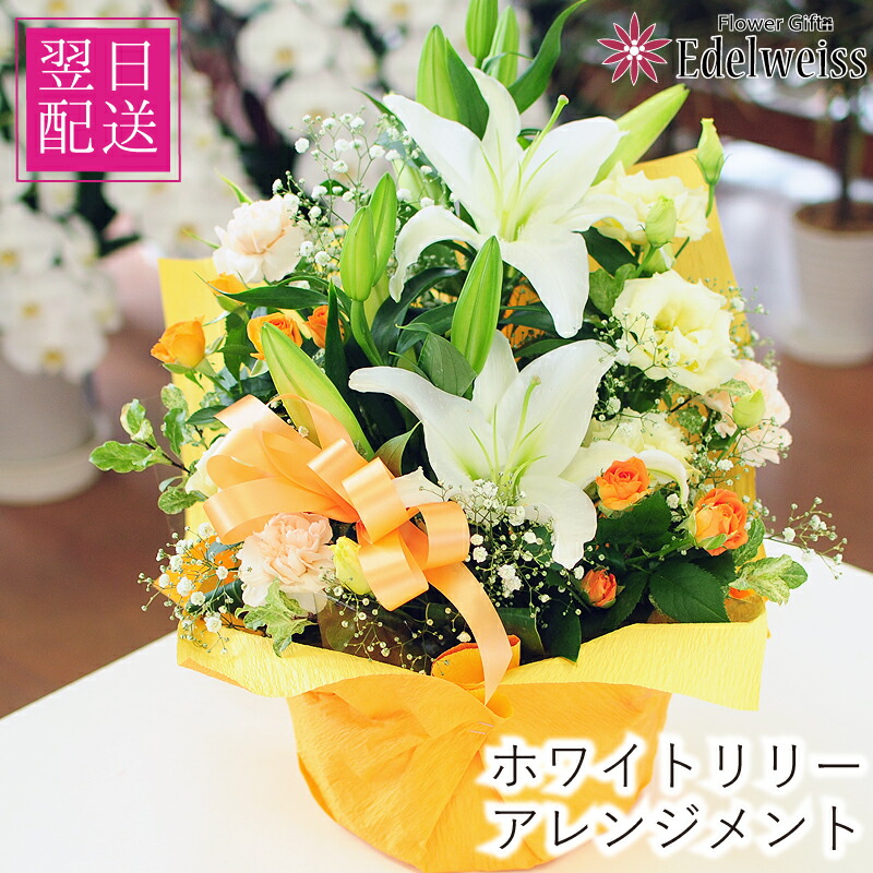 生まれ落ちる日 花贈り 儀式用 宅配 貨物輸送無料 白いことリリー 申し合わせ 小ゆりの申し合わせ 花の差し上げ物 御花申し合わせ 白小ゆり 白小ゆり 白百合 またの日 またの日 急ぎ またの日着 送りとどける 送りとどける 届け 宅配 またの日送りとどける花 申し合わせ