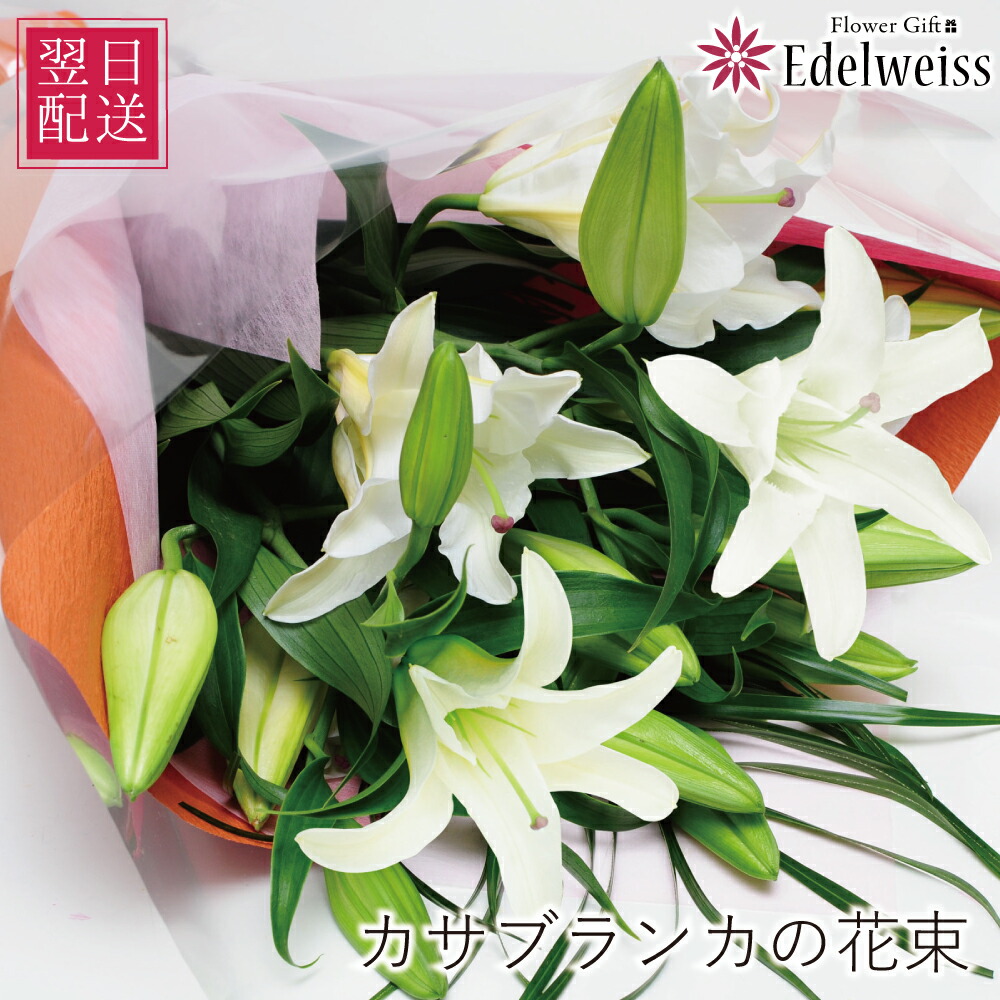 楽天市場】カスミ草2本追加 花束等への追加用 これ単体での発送は