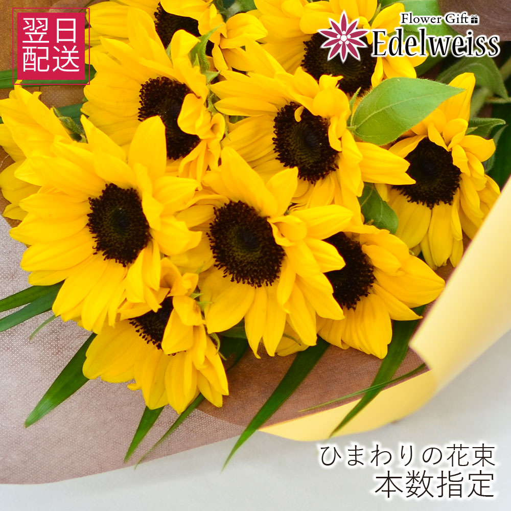 ひまわり#プロフ必読#ページ gentai-sun_000.jpg