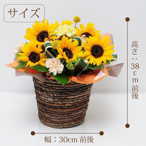 ひまわり アレンジメント 誕生日プレゼント お見舞い 花 退院祝い 花 御中元花 お中元 花 宅配 花 退院 祝い おしゃれ ひまわりアレンジメント お見舞い 退院祝い 快気祝い バースディ 出産祝 お祝い 記念日 フラワー 花宅配 サマーシーズン Crunchusers Com