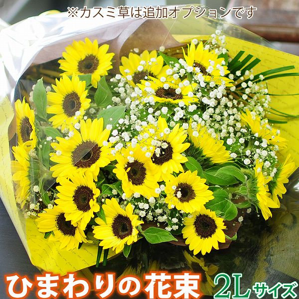 楽天市場 送料無料 ヒマワリ 30本 花束 誕生日 ひまわり 結婚記念日 歓迎 送迎 向日葵 プロポーズ サプライズ ギフト プレゼント お返し Bises Flower