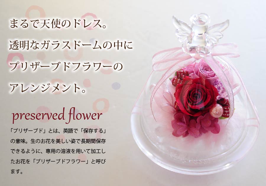 誕生日 ギフト お祝い 花 バラ 記念日 プリザーブドフラワー エンジェルドレス プリザード 卒業祝 天使 贈り物花 エーデルワイス 歓送迎会 ギフト 全4色 保証 48 割引 Vinomare At