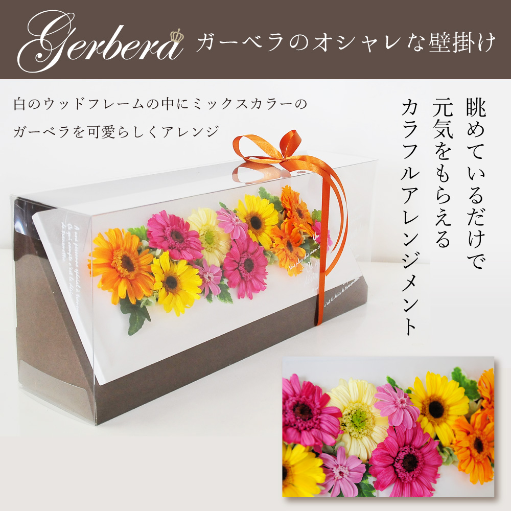 人気no 1 本体 楽天市場 Gerbera ガーベラのオシャレな壁掛け プリザーブドフラワー フレーム アレンジメント 贈り物 インテリア カラフル ギフト エーデルワイス 花宅配花屋ギフト 保存版 Secretoftheislands Com