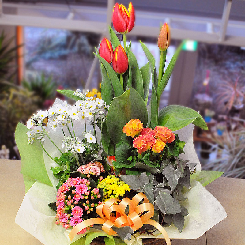 hanako Rakuten Global Market Send potted mother's day Bowl mix