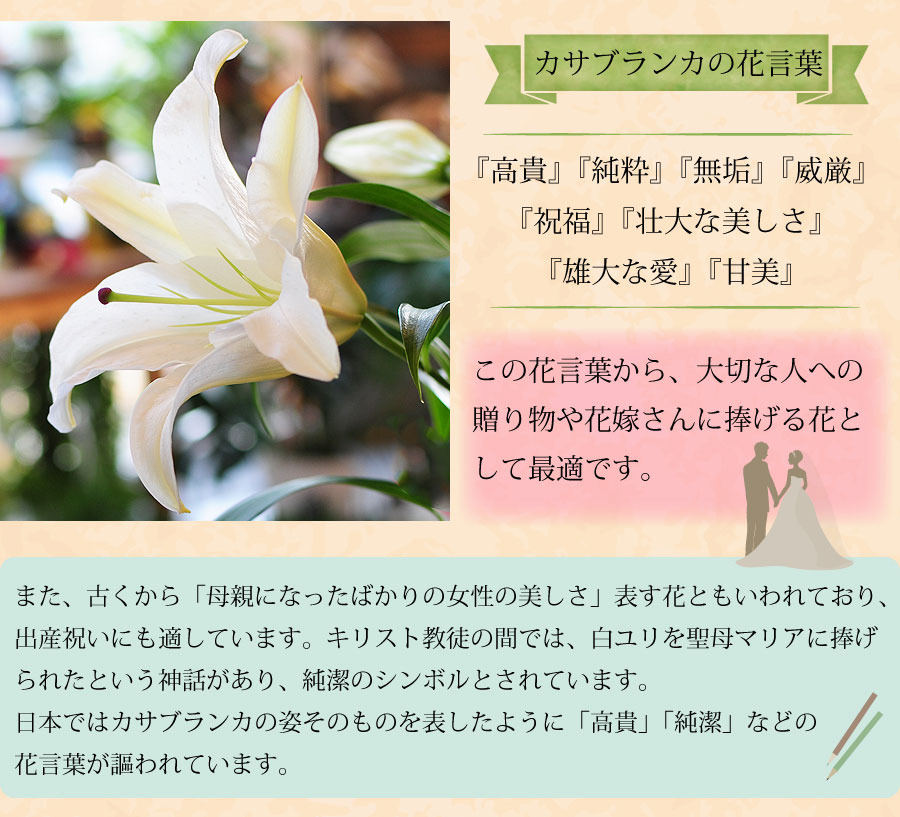 今月限定 特別大特価 楽天市場 花束 誕生日 ユリ カサブランカ 花束 ギフト 生花 花束 お供え 誕生日 花束 ギフト カサブランカの花束 大輪系 40輪以上 プレゼント カサブランカ花束 送料無料 翌日配達花束 記念日花束 贈り物 お祝い花束 贈る 宅配 バースディ 誕生日