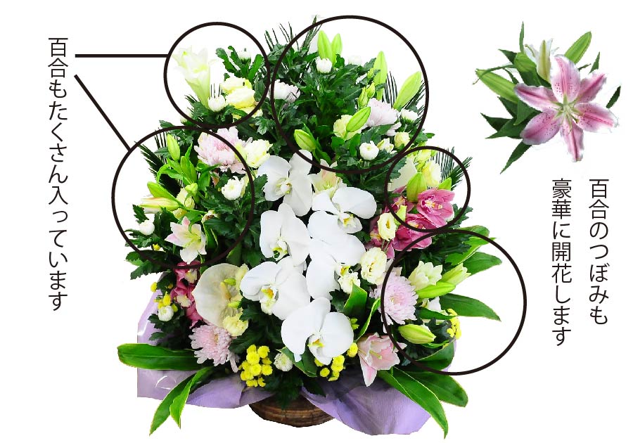四十九日 お供え花 お供え お供え 楽天1位 ユリとランを使った豪華お供えフラワーアレンジメント 仏花 お供え 蘭と百合 お供え花 お供え 仏具 アレンジメント お供え花 一周忌 彼岸 供養 供花 彼岸会 翌日配達 翌日配送お盆 新盆 初盆花 お盆 お悔やみアレンジ お供え