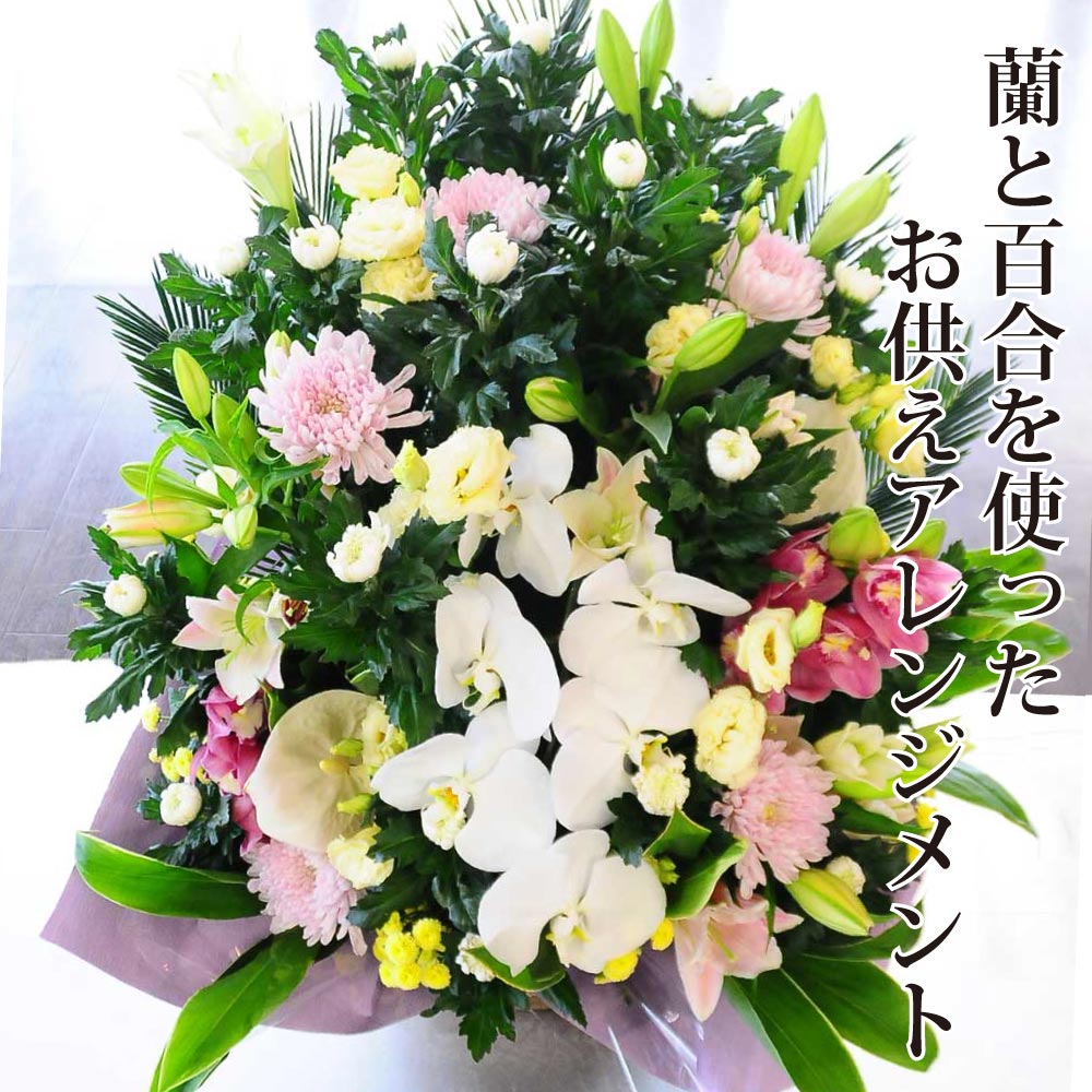 【最短 またの日お届け 12時まで】 仏花 お供え 供花 蘭 さ百合 お花申し合わせ お自責の念 生け花  晴れ晴れしい 晴れ晴れしい 枕花 初七日 身寄り葬儀式 命日 四十九日 一周忌 三回忌 ついて行く 法事 法要 弔慰顔出し エーデルワイス お悔やみの花 蘭と百合を使ったお供え花申し合わせ