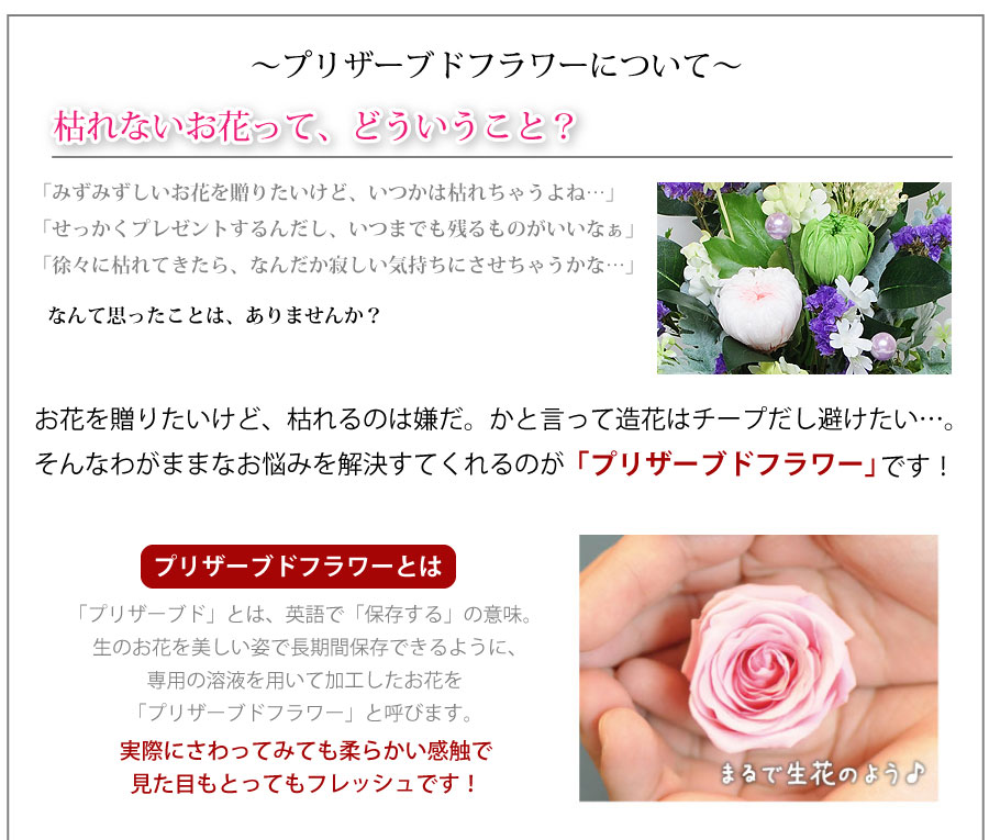 プリザーブドフラワー 花 命日 お供え花 仏花 ユリや胡蝶蘭を使った高級なお供えプリザーブドフラワー 花 仏花 喪中見舞い お悔やみ お供え お供え お悔やみ お供え プリザーブドフラワー お供え花 供花 お供え 花 プリザーブドフラワー 仏花 お悔やみ 花 お供え 仏花 プリザーブドフラワー 花 命日 お供え花 仏花 ユリや胡蝶蘭を使った高級なお供えプリザーブドフラワー 花 仏花 喪中見舞い お悔やみ お供え お供え お悔やみ お供え プリザーブドフラワー お供え花 供花 お供え 花 プリザーブドフラワー 仏花 お悔やみ 花 お供え 仏花