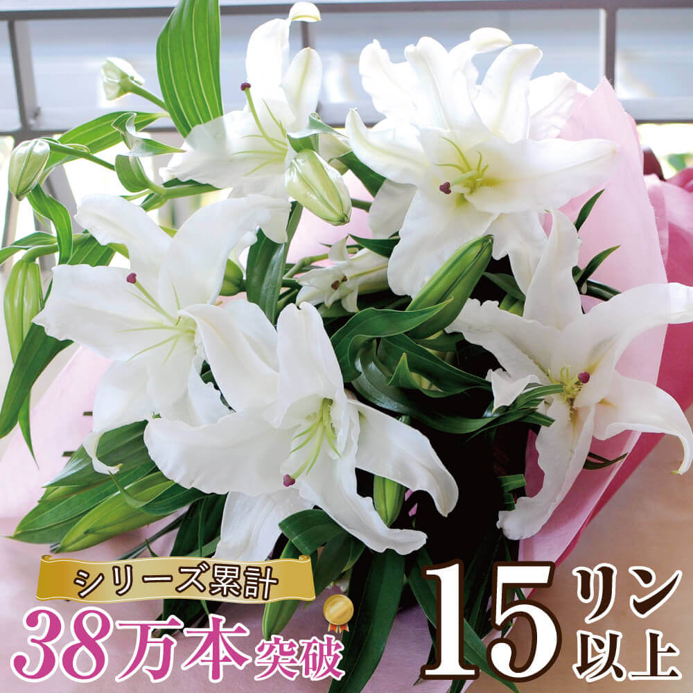 誕生日 プレゼント お祝い お供え 花束 誕生日花束 結婚記念日花束 エーデルワイス 豪華大輪系 オリエンタル 白いユリの花束 15輪以上  エーデルワイス／花宅配花屋ギフト
