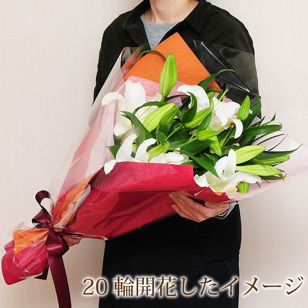 誕生日 クリスマスギフト 50輪 花束 プレゼント 記念日花束贈り物お祝い花束贈る 宅配 大輪カサブランカの花束 ご霊前 フラワーギフト 結婚祝 翌日配達花束 ギフト カサブランカ花束 送料無料 バースディ 誕生日 結婚記念日 発表会 エーデルワイス 花宅配花屋ギフト花束 誕生日 クリスマスギフト 50輪 花束 プレゼント 記念日花束贈り物お祝い花束贈る 宅配 大輪カサブランカの花束 ご霊前 フラワーギフト 結婚祝 翌日配達花束 ギフト カサブランカ花束 送料無料 バースディ 誕生日 結婚記念日 発表会 エーデルワイス 花宅配花屋ギフト花束
