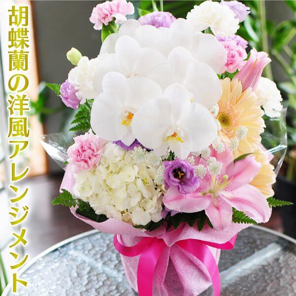 栄転花 退職祝い 転勤花 送別会 昇格花 お祝い 栄転花 昇格花 昇進花 洋風 お祝いに喜ばれる豪華な洋風なアレンジメント 昇進花 退職花 フラワー お祝い 胡蝶蘭の洋風アレンジメント 退職花 プレゼント 誕生日 就任祝い花 送別会 就任祝い花 ギフト 花 花 昇格花 退職祝い 栄転花 退職祝い 転勤花 送別会 昇格花 お祝い 栄転花 昇格花 昇進花 洋風 お祝いに喜ばれる豪華な洋風なアレンジメント 昇進花 退職花 フラワー お祝い 胡蝶蘭の洋風アレンジメント 退職花 プレゼント 誕生日 就任祝い花 送別会 就任祝い花 ギフト 花 花 昇格花 退職祝い