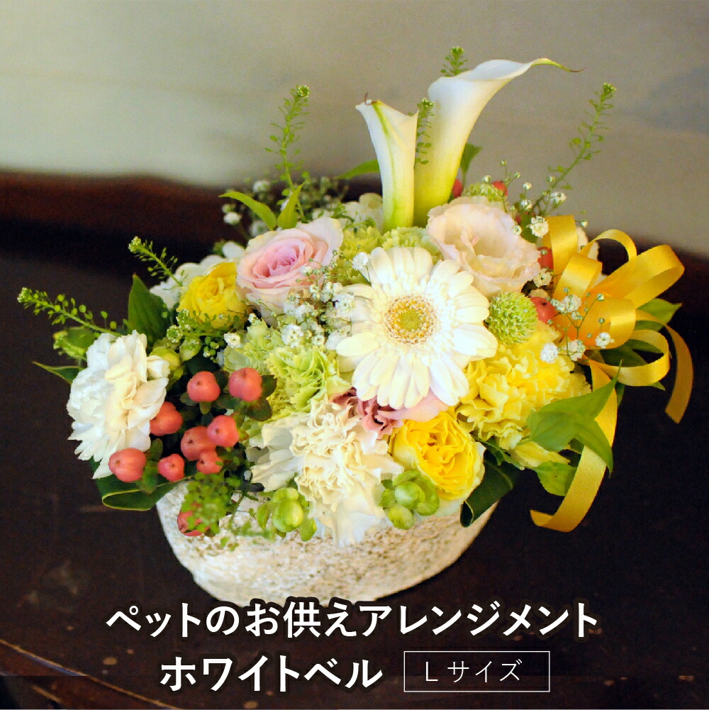 母の日特集 フラワーアレンジメント-花・観葉植物-花・ガーデン・DIY