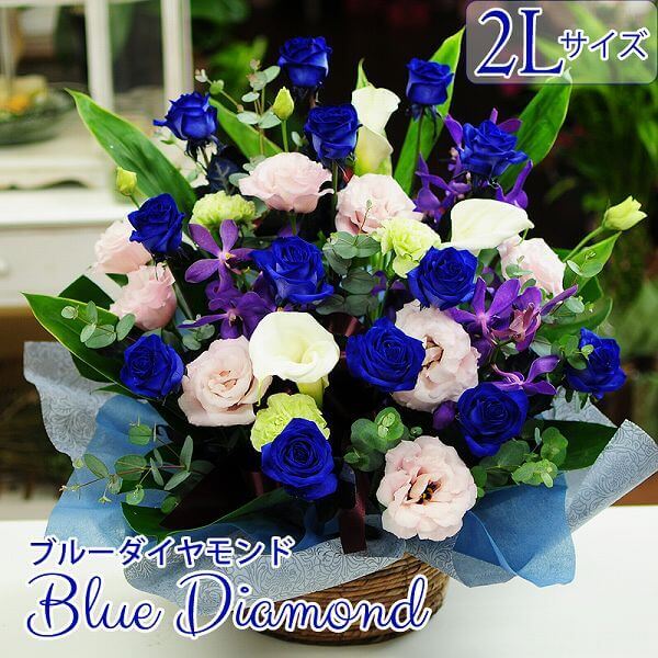 卒業祝 入学祝 就職祝 退職祝 ブルーローズ 青いバラ 開院 周年 お祝い 青薔薇 卒業 入学 開店祝い 開業祝い 御祝 結婚記念日 翌日 明日着 配送 届け 翌日配達 　届日指定　12本のバラ 花 ブルーダイヤモンド 2Lサイズ エーデルワイス 13,986円