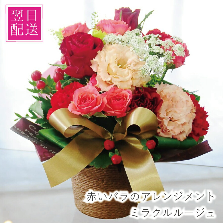 花 プレゼント 卒業祝 入学祝 就職祝 退職祝 送別 卒業 バラ 結婚記念日 誕生日 生花 赤いバラ プロポーズ 送料無料 お祝い 薔薇 プレゼント 赤バラ 女性 ミラクルルージュ エーデルワイス 翌日 明日 急ぎ 明日着 配送 配達 届け 翌日配達花