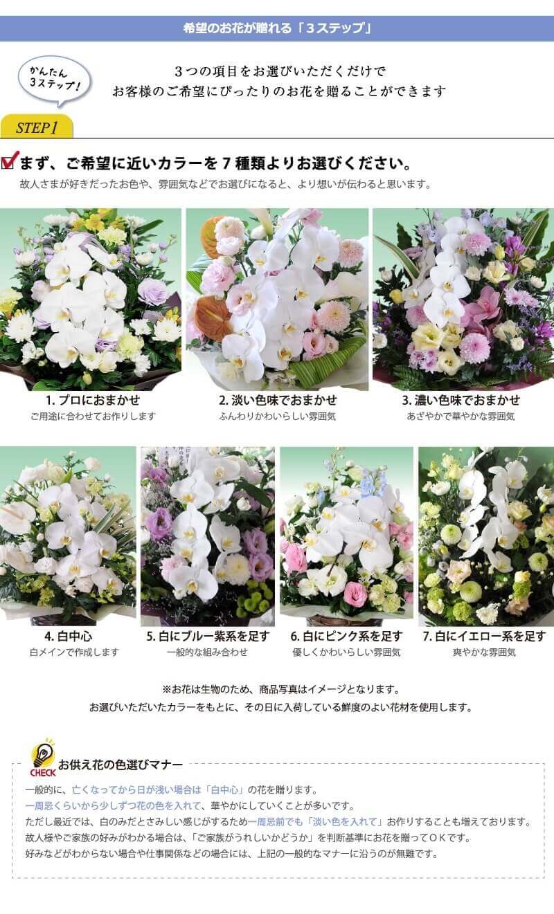お盆花 新盆花 お供え 花 お悔やみ 花 お供え 仏花 供花 お供え花 アレンジメント 仏花 お悔やみ 命日 四十九日 1周忌 一周忌 法事 法要 三回忌 一年忌 四十九日 蘭 お供え アレンジメント 4lサイズ Purplehouse Co Uk