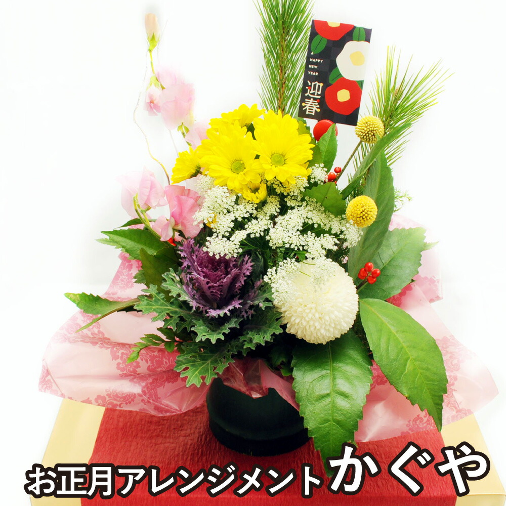 楽天市場】2026 花 お正月 迎春 生花 正月 プレゼント お正月飾り