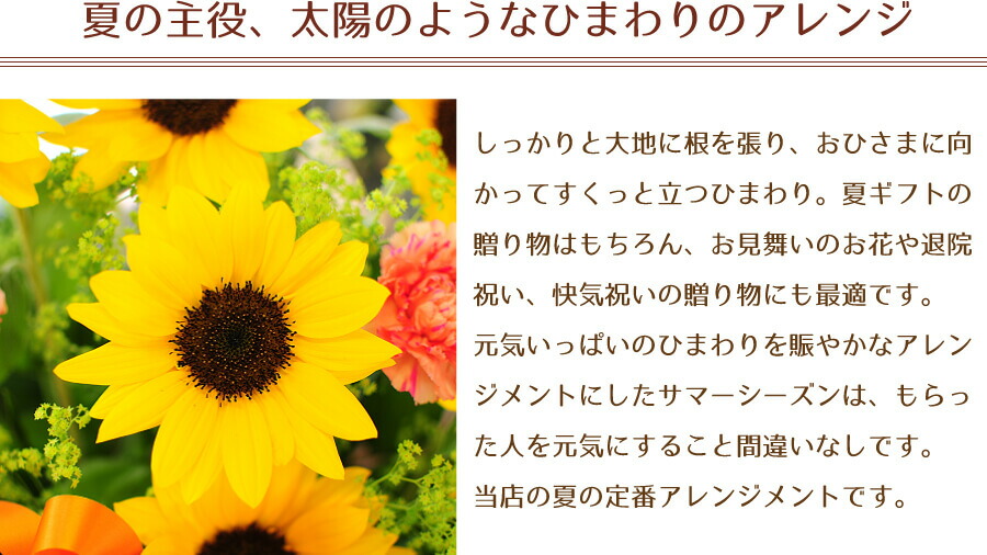 ひまわり アレンジメント 誕生日プレゼント お見舞い 花 退院祝い 花 御中元花 お中元 花 宅配 花 退院 祝い お中元 花 ギフト 誕生日 お祝い 記念日 向日葵 御中元 花 夏ギフト 花宅配 花配送 ひまわりのアレンジメント サマーシーズン Lサイズ Educaps Com Br