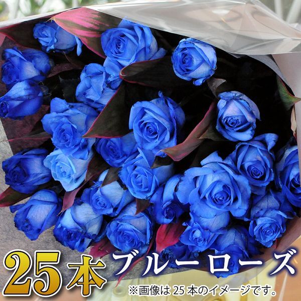 バラ 花束 花 ブルーローズ 25本 青いバラ ブルーローズ 花束 プロポーズ 誕生日 花 ギフト 青いバラ 誕生日 結婚記念日 プロポーズ 薔薇 青い バラ25本の花束 配送 送料無料 結婚記念日祝い 卒業祝い 誕生日祝い 花束 送別祝い ブルーローズ 宅配 花束 プロポーズ 花束